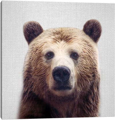 Bear Canvas Art Print - Brown Bear Art