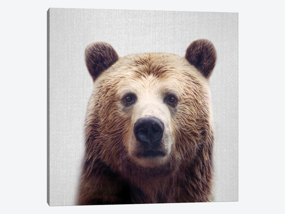 Bear by Gal Design 1-piece Canvas Print