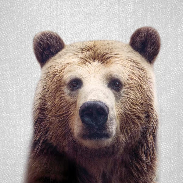 Brown Bears: Bear by Gal Design