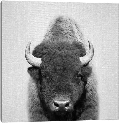 Buffalo In Black & White Canvas Art Print - Art for Teens