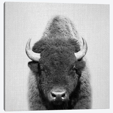 Buffalo In Black & White Canvas Print #GAD14} by Gal Design Canvas Artwork