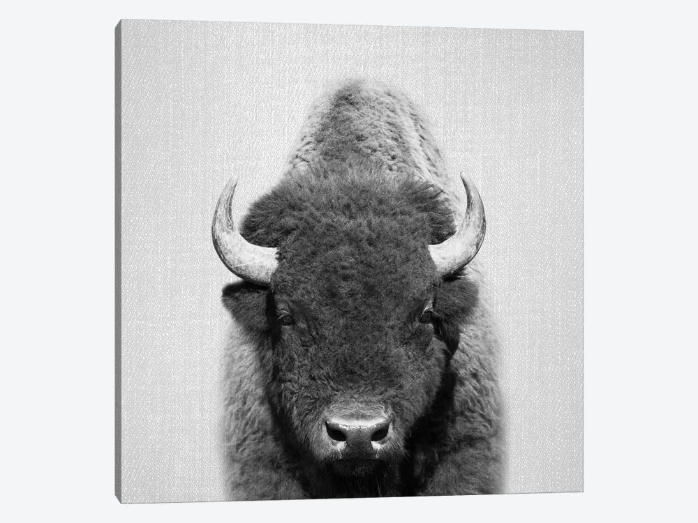 Buffalo In Black & White by Gal Design 1-piece Canvas Art Print