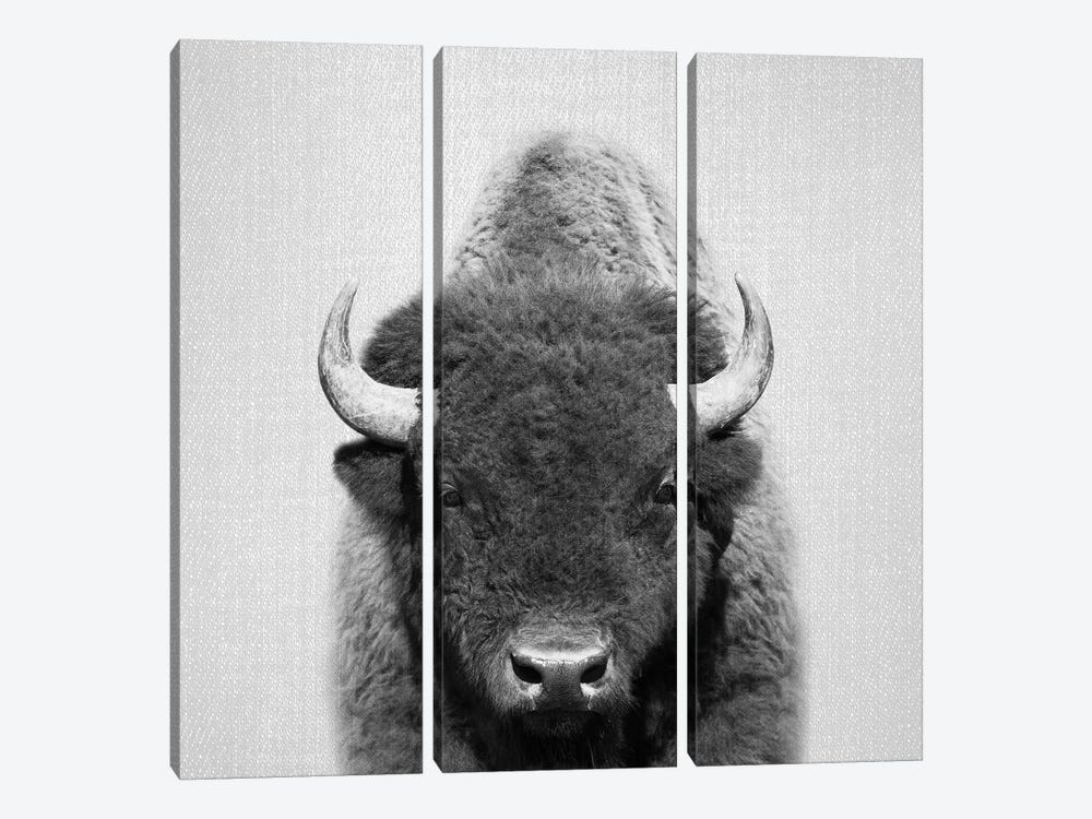 Buffalo In Black & White by Gal Design 3-piece Art Print
