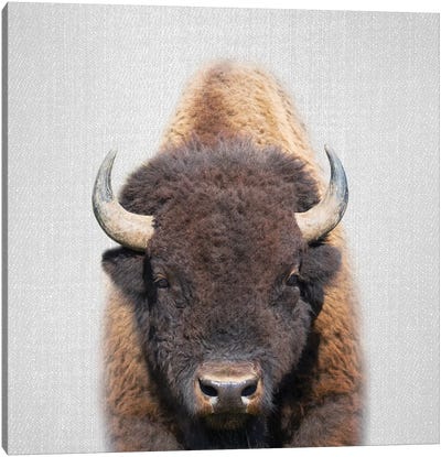 Buffalo Canvas Art Print - Bison & Buffalo Art