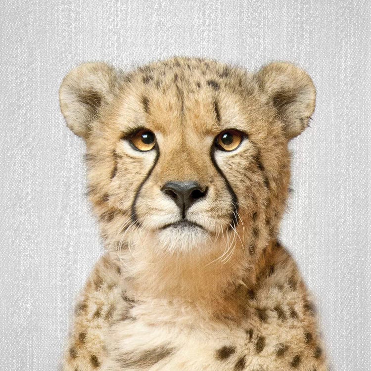 Cheetah by Gal Design wall art