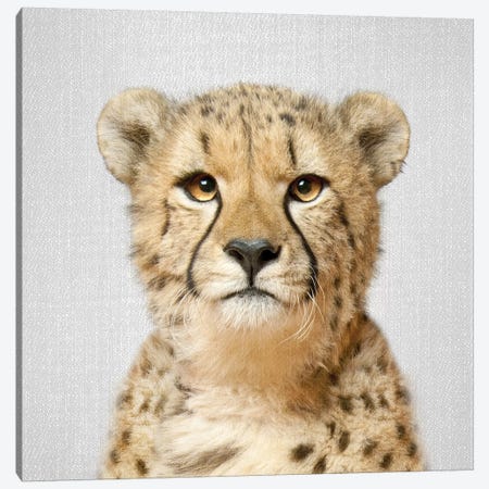 Cheetah Canvas Print #GAD18} by Gal Design Canvas Art Print