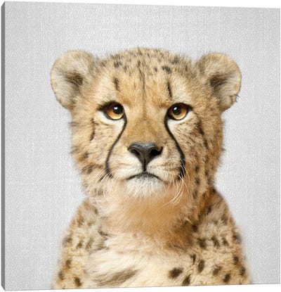 Cheetah Canvas Art Print - Gal Design