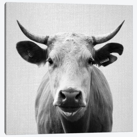 Cow In Black & White Canvas Print #GAD19} by Gal Design Art Print