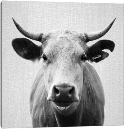 Cow In Black & White Canvas Art Print - Gal Design