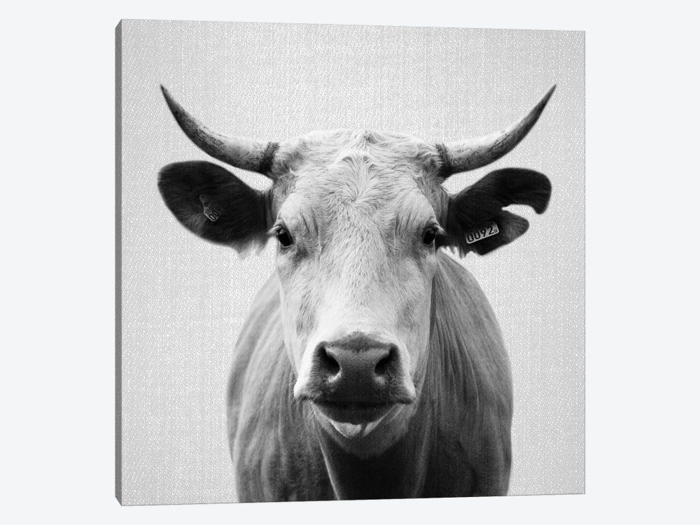 Cow In Black & White by Gal Design 1-piece Canvas Art