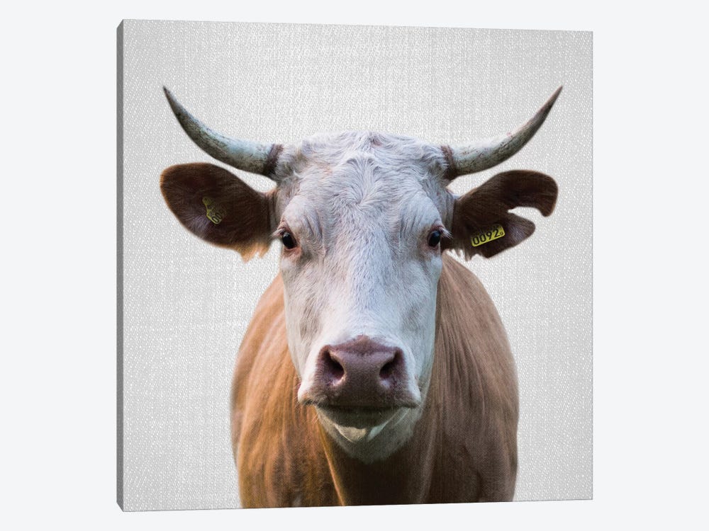 Cow by Gal Design 1-piece Canvas Wall Art