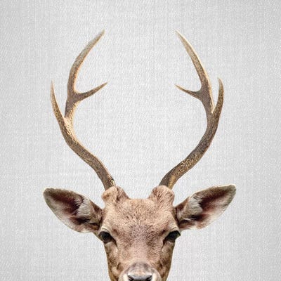 Deer by Gal Design art print