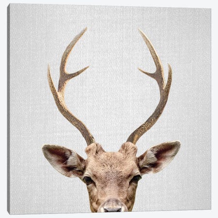 Deer Canvas Print #GAD22} by Gal Design Canvas Art