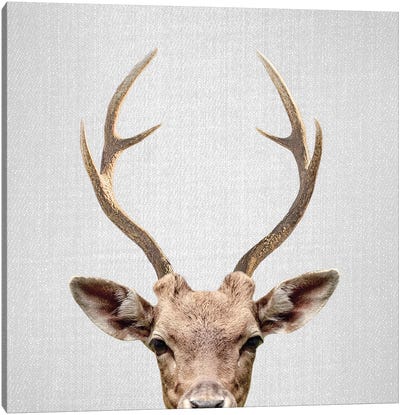 Deer Canvas Art Print - Gal Design