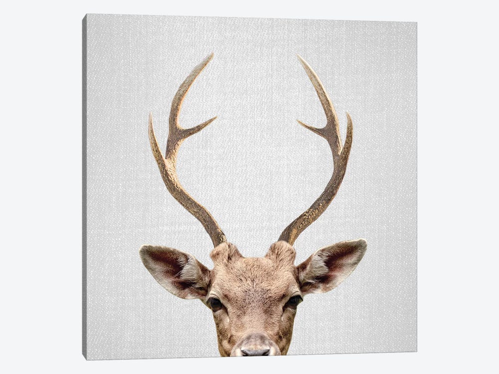Deer by Gal Design 1-piece Canvas Artwork