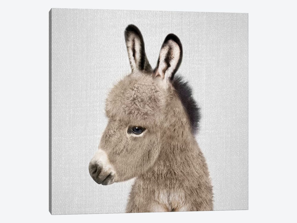 Donkey by Gal Design 1-piece Art Print