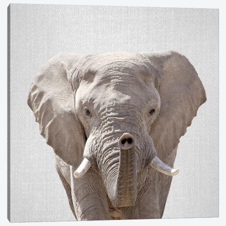 Elephant Canvas Print #GAD25} by Gal Design Art Print