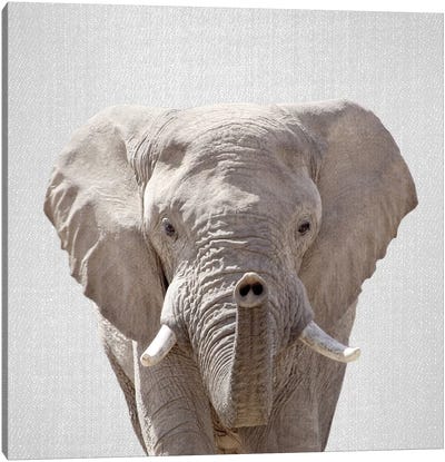 Elephant Canvas Art Print - Gal Design