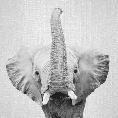 Elephant II In Black & White by Gal Design art print