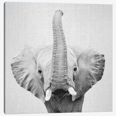 Elephant II In Black & White Canvas Print #GAD26} by Gal Design Art Print