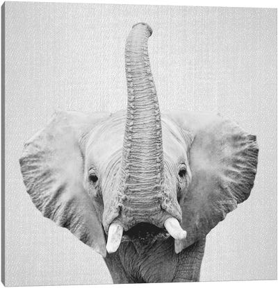 Elephant II In Black & White Canvas Art Print - Gal Design