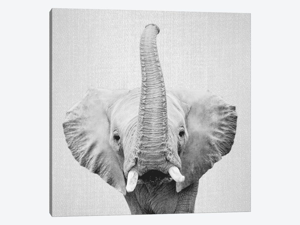 Elephant II In Black & White by Gal Design 1-piece Canvas Art