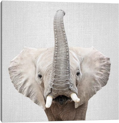 Elephant II Canvas Art Print - Neutrals