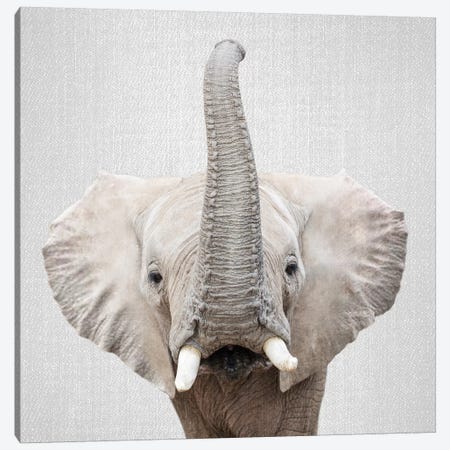 Elephant II Canvas Print #GAD27} by Gal Design Canvas Print