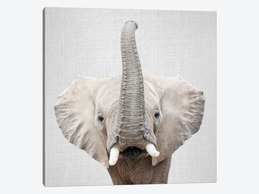 Elephant II by Gal Design 1-piece Art Print
