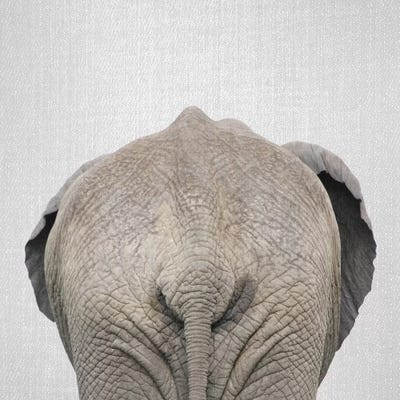Elephant Tail by Gal Design art print