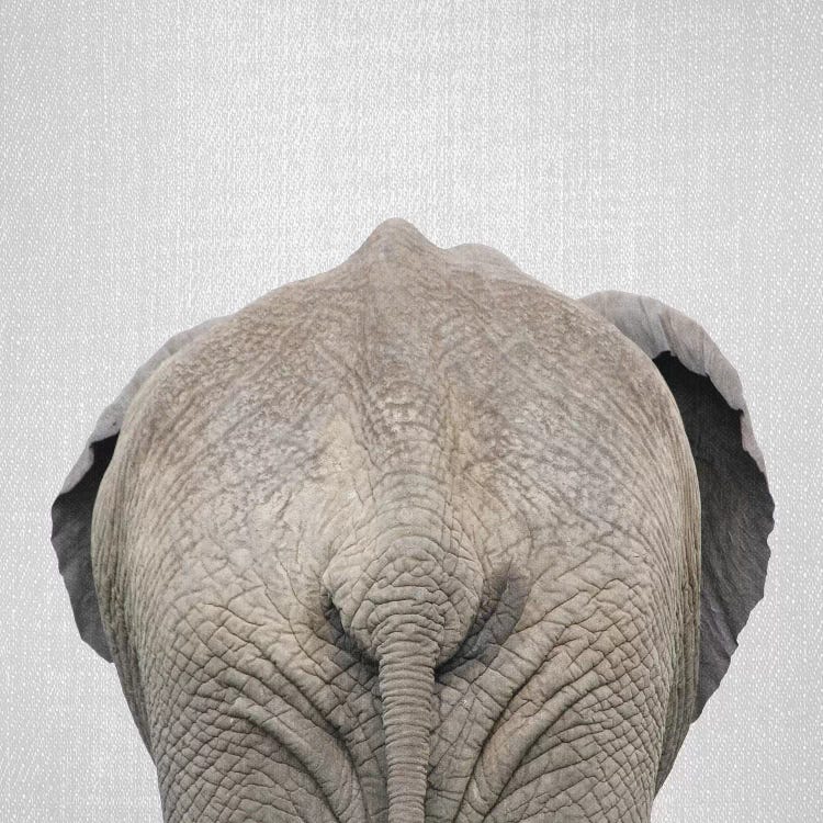 Elephant Tail