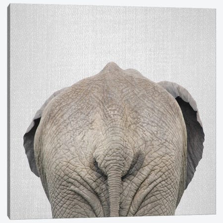 Elephant Tail Canvas Print #GAD28} by Gal Design Canvas Artwork