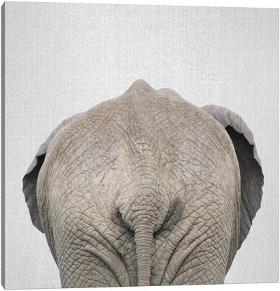 Elephant Tail Canvas Art Print - Gal Design