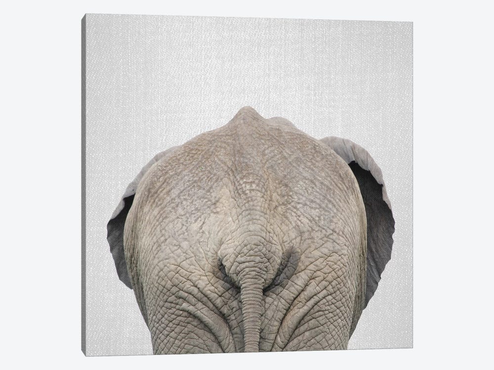 Elephant Tail by Gal Design 1-piece Canvas Artwork