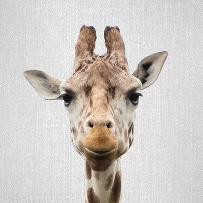 Giraffe I by Gal Design art print