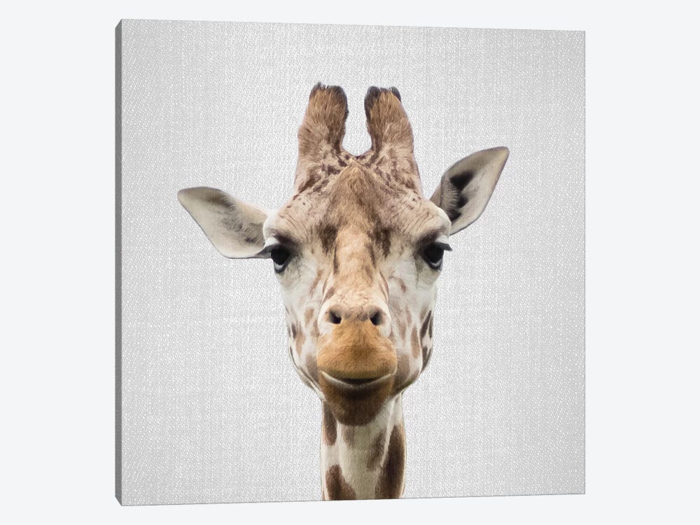 Giraffe I by Gal Design 1-piece Canvas Print