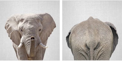 Elephant Diptych