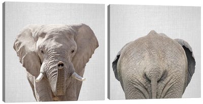 Elephant Diptych Canvas Art Print - Art Sets | Triptych & Diptych Wall Art