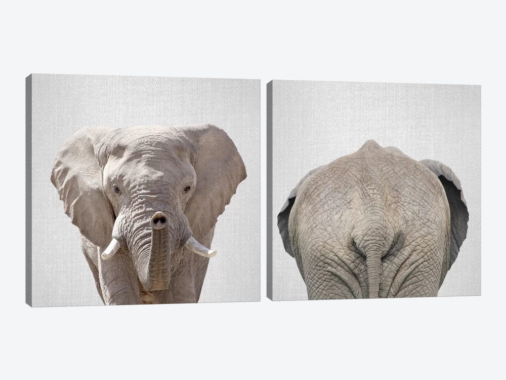 Elephant Diptych by Gal Design 2-piece Canvas Art Print