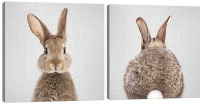 Rabbit Diptych Canvas Art Print - Art Sets | Triptych & Diptych Wall Art