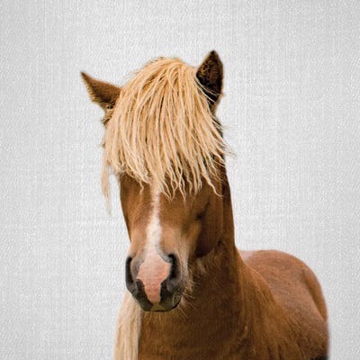 Horse I by Gal Design art print