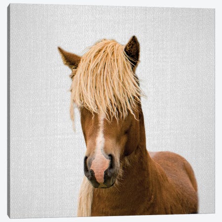 Horse I Canvas Print #GAD32} by Gal Design Canvas Art Print