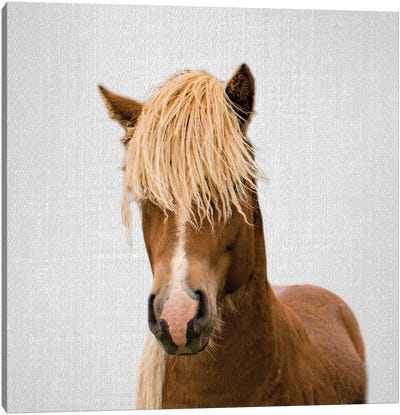 Horse I Canvas Art Print - Gal Design