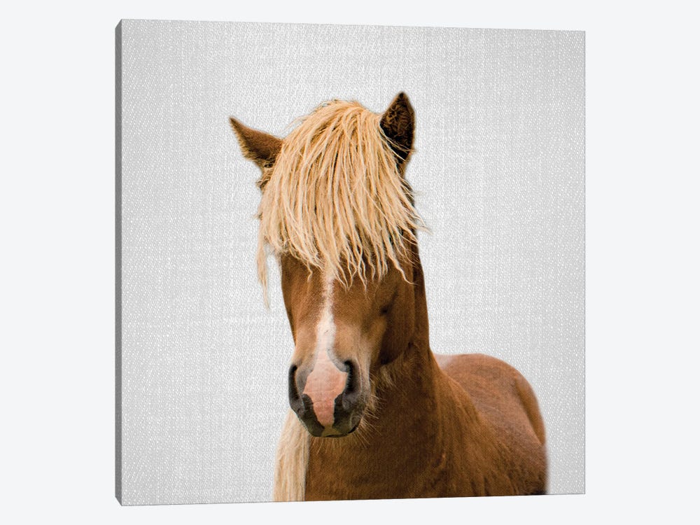 Horse I by Gal Design 1-piece Canvas Print