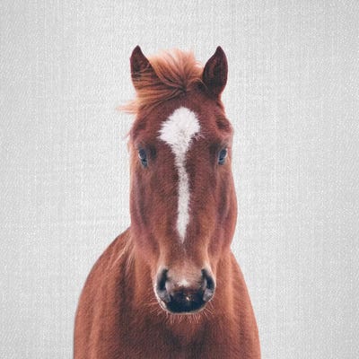 Horse II by Gal Design art print