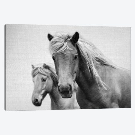 Horses In Black & White Canvas Print #GAD34} by Gal Design Canvas Art