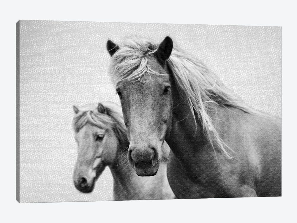 Horses In Black & White by Gal Design 1-piece Canvas Print