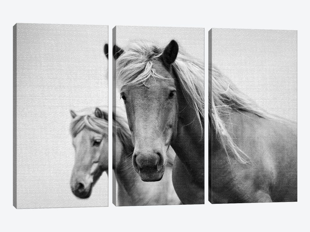 Horses In Black & White by Gal Design 3-piece Art Print