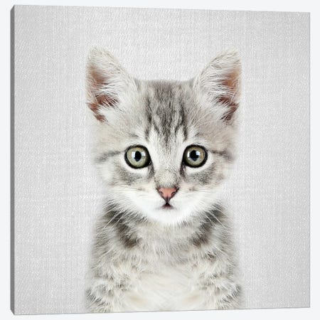 Kitten Canvas Print #GAD35} by Gal Design Canvas Art