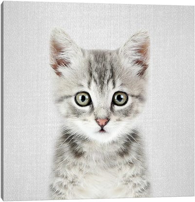 Kitten Canvas Art Print - Gal Design